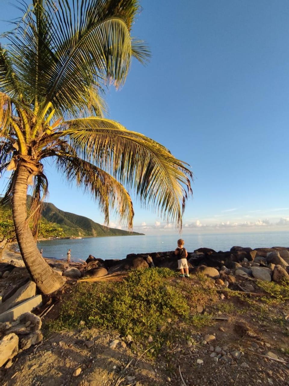 Kaz A Soley - Gite Vue Panoramique Sur La Mer - Plage A 500M Gourbeyre Bagian luar foto